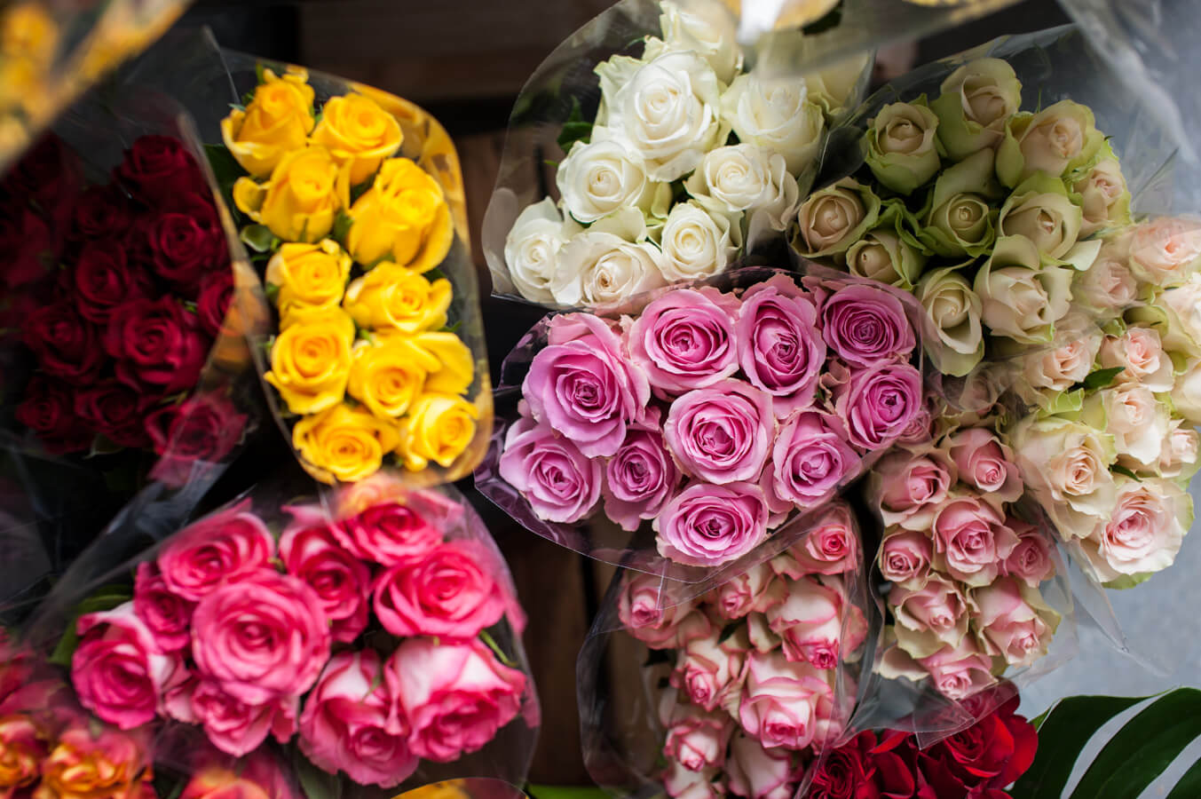 Everyday Flowers Village Flowers At Rookwood