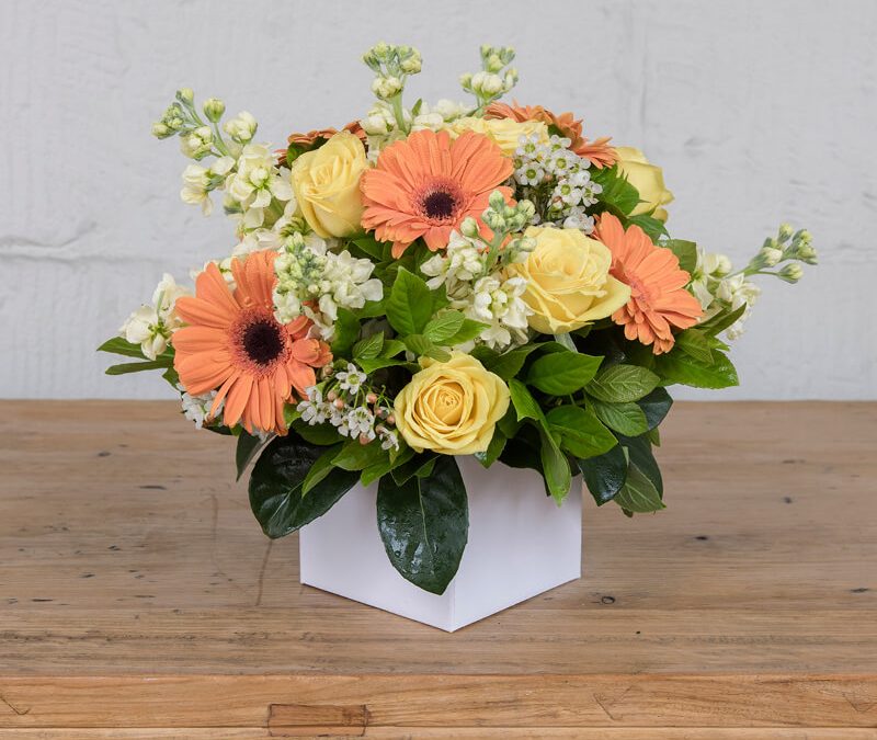 THE CITRUS COLLECTION