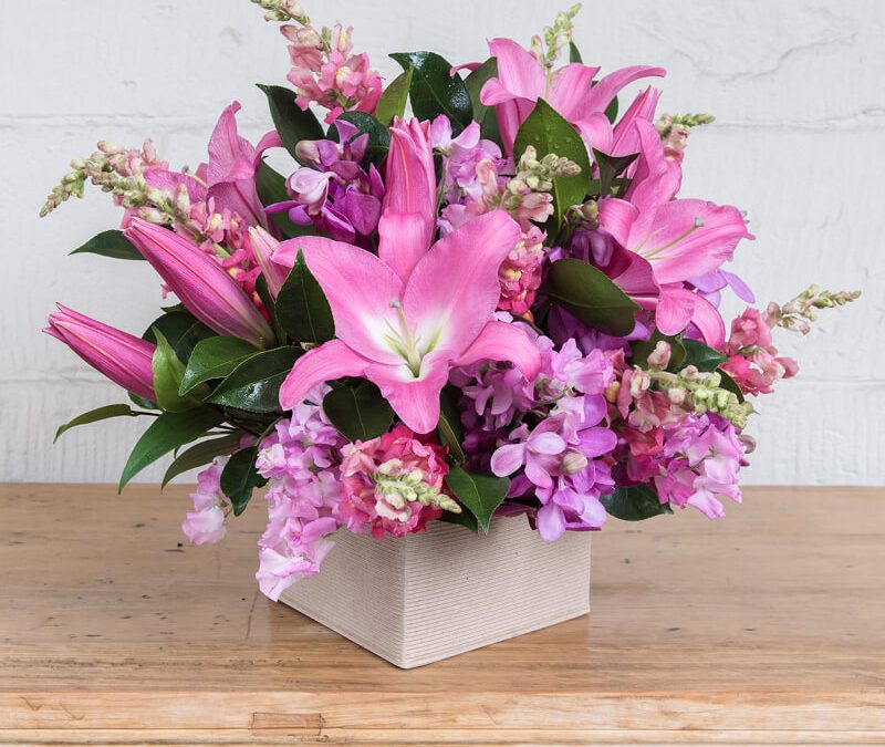 THE LILAC COLLECTION