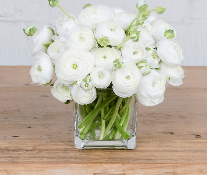 THE RANUCULAR VASE (VESSEL INCLUDED)