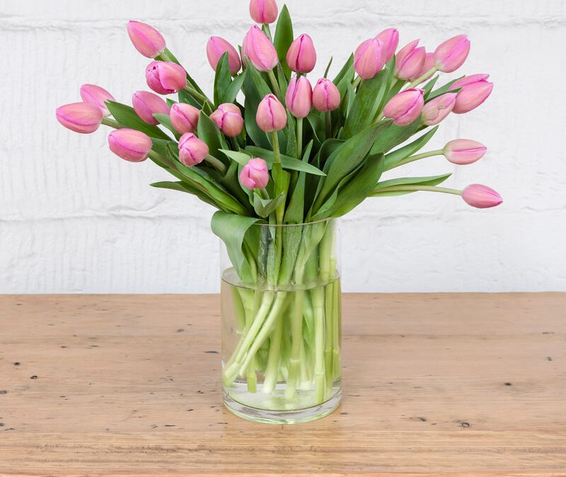 THE TULIP VASE (VESSEL INCLUDED)